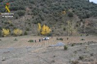 Desmantelada en Villarluengo la mayor plantación de marihuana localizada en Aragón