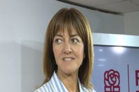 Mendia afirma que existe la "clara voluntad" de "un acuerdo profundo" entre PNV y PSE, que podría ser "de coalición"