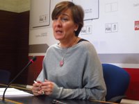 PSOE: "El verdadero plan oculto era el de Cospedal"