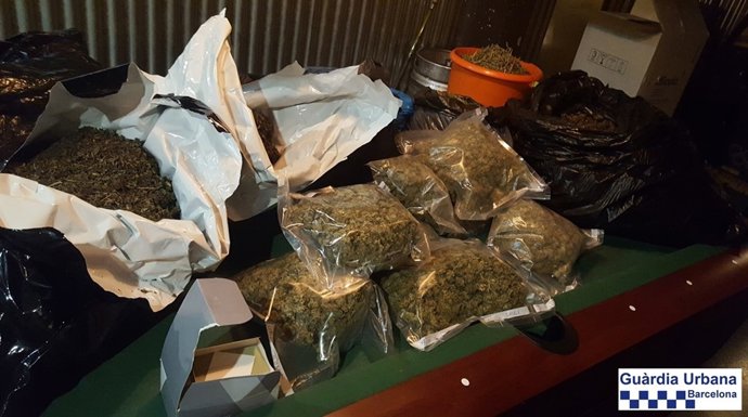 Marihuana intervenida en una asociación cannábica