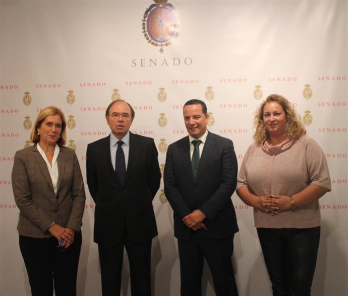 Declaración institucional Risco Caído