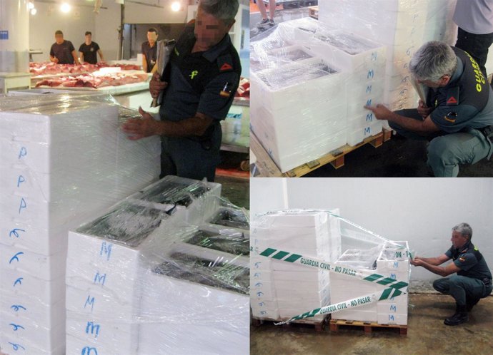 La Guardia Civil decomisa cerca de media tonelada de pescado sin etiquetar