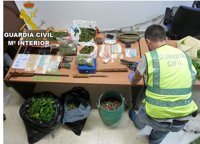 Desmantelado en Cullera un clan familiar de venta de droga liderado por la abuela