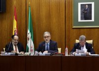 Salud solo avanzará en la fusión hospitalaria de Granada si hay "consenso mayoritario"