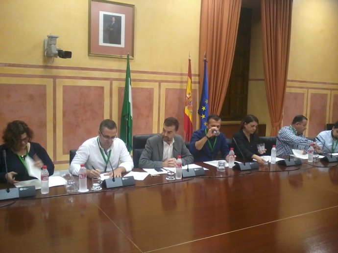 Firma del Manifiesto de Oviedo en el Parlamento andaluz con cargos de IU