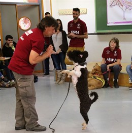 Terapia perro autistas UMA terapia alumnos alumnado universidad
