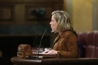 CC niega que su apoyo a Rajoy sea un cheque en blanco y pide el fin de los recortes