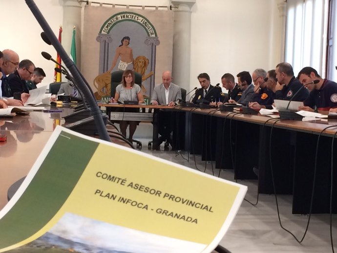 Comité asesor del Plan Infoca en Granada