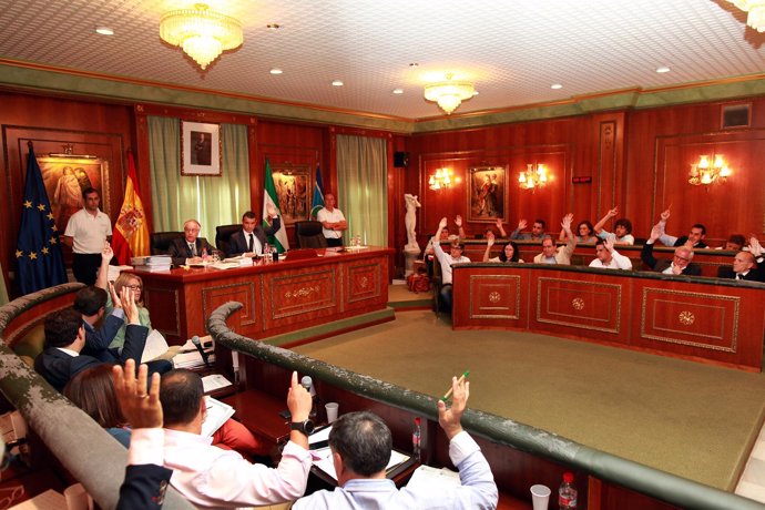 Pleno del Ayuntamiento de Marbella de octubre 