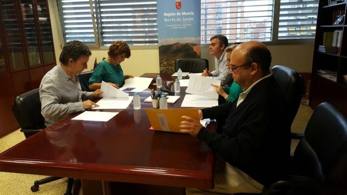 Imagen de la reunión