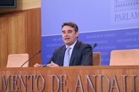 Moreno Yagüe respalda 'Ahora Andalucía', "que apuesta por un Podemos menos vertical"