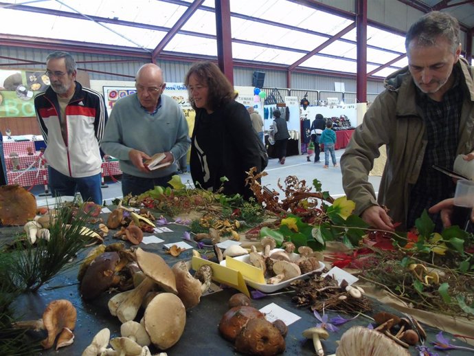 Paula valero visita la Feria de la Miel en Boal. 