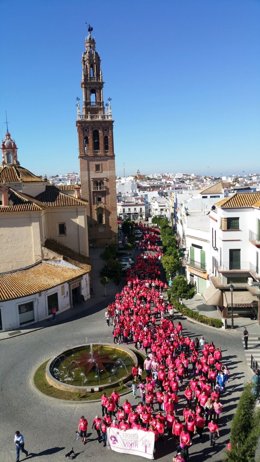 Carrera contra el cáncer de mama en Carmona (Sevilla)
