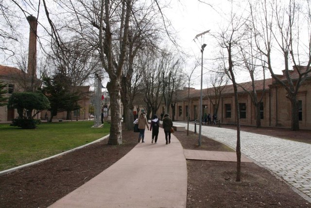 Universidad, Campus, Facultad, Estudios, Examenes, Estudiantes, Carrera