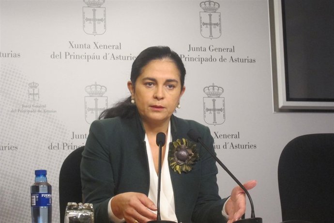  La Diputada De Foro En La Junta General, Carmen Fernández.