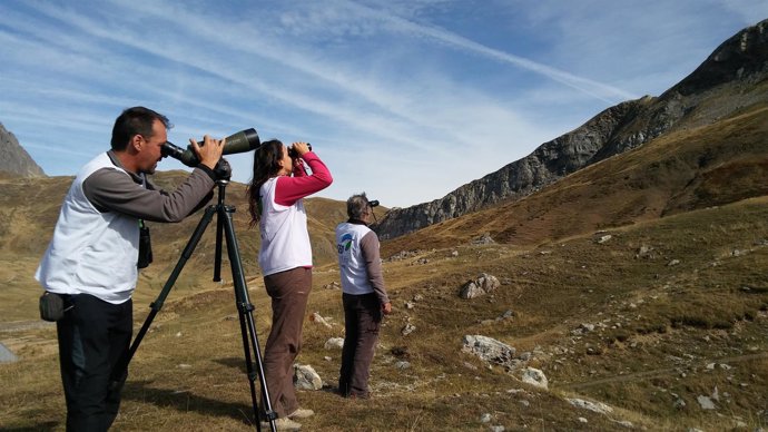 Observación de aves