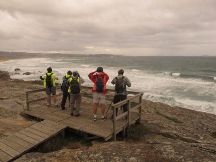 Participantes del Gran Reto 2014 en O Grove, Pontevedra