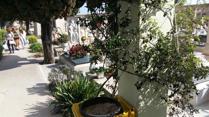 Cementerio de Paterna