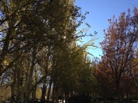 Noviembre comienza con cielos despejados y máximas que rondarán los 25 grados