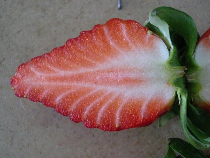 Demuestran que el 81% de los antioxidantes de la fresa reside en sus pepitas