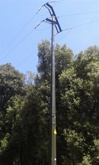 Endesa reforma una línea en el Parc Natural del Montseny para mejorar el servicio a 1.500 clientes