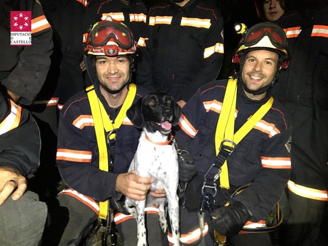 Perro rescatado por los bomberos en Atzeneta