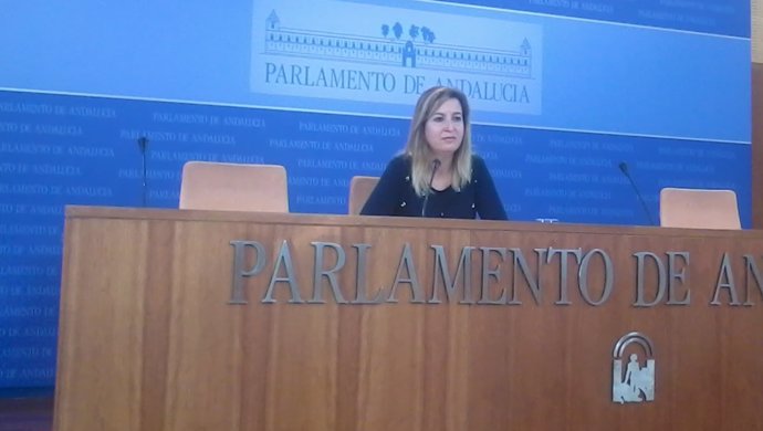 La presidenta del grupo de Podemos en el Parlamento andaluz, Carmen Lizárraga