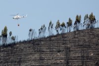 El Infoca cierra el periodo de mayor riesgo de incendio con 1.534 hectáreas de terreno forestal afectadas