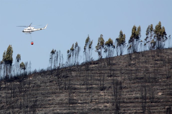 Incendio en agosto de 2016 en El Castillo de las Guardas (Sevilla)