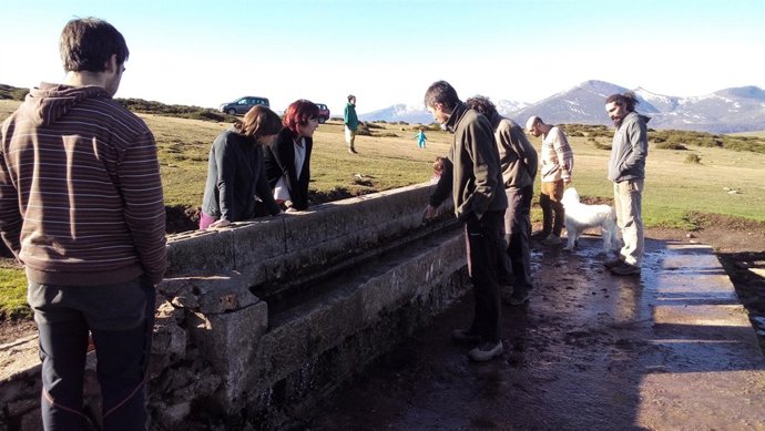 Jornada de voluntariado ambiental