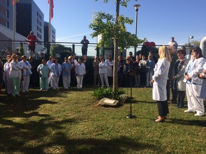 Aniversario derrumbe Valdecilla