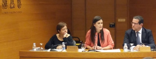 Montón explica los presupuestos de su departamento en las Corts