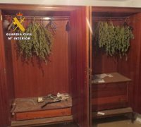 Tres detenidos en Burgos tras desmantelar un secadero de marihuana y aprehender 8,6 kilos de droga