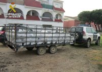 Intervienen 2.100 kilos de piñas que habían sido presuntamente hurtadas de Doñana