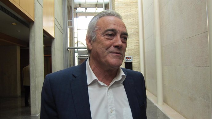 El portavoz del PSOE en las Cortes, Javier Sada