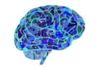 El cerebro es capaz de modificar la microbiota y ésta predisponer la evolución de enfermedades neurológicas