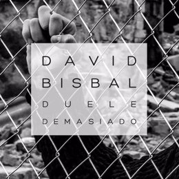 DAVID BISBAL