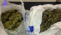 Detenido en Valladolid tras huir de un control en su coche e intervenirle la policía 450 gramos de marihuana