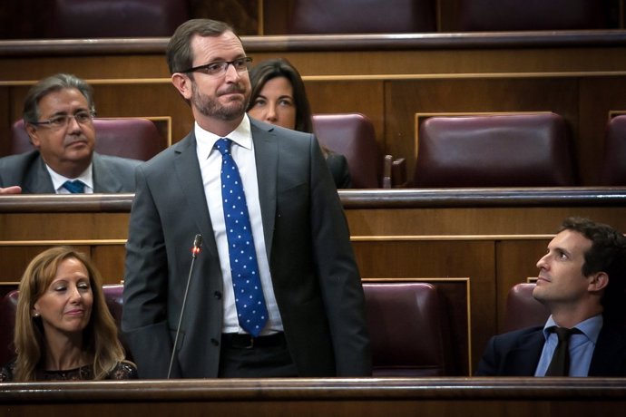 Javier Maroto, en el Congreso