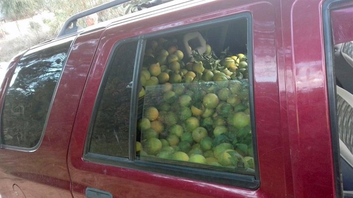 Vehículo intervenido.