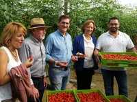 PSOE-A señala la "apuesta" de Junta en agricultura, frente a "castigo" de PP con recortes