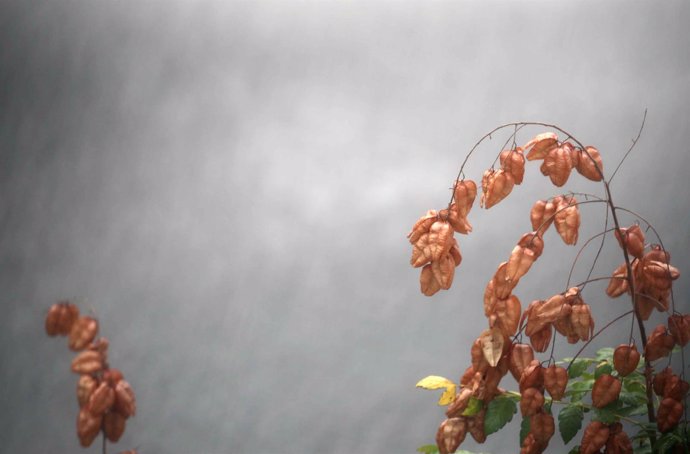 Otoño, nublado, frío