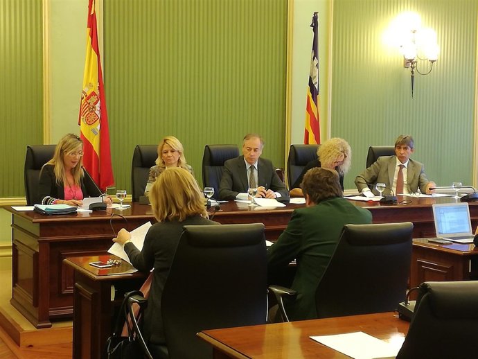 La consellera durante su comparecencia