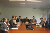 Canarias traslada a Red Eléctrica la necesidad de que "la penetración de las energías renovables sea una realidad"