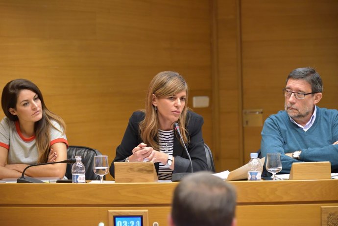 Sánchez Zaplana en la comisión de investigación de residencias de las Corts