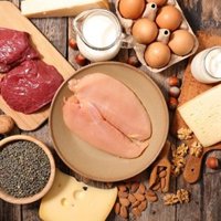 Dietas ricas en proteínas, ¿por qué adelgazan?