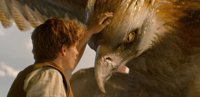 Primeras reacciones a Animales Fantásticos: "A los fans de Harry Potter les va a encantar"