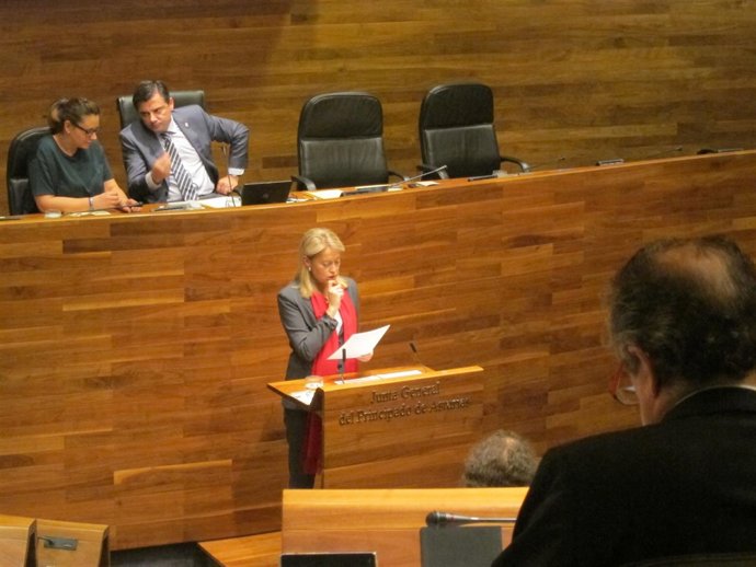 Cristina Coto en el debate de Orientación.