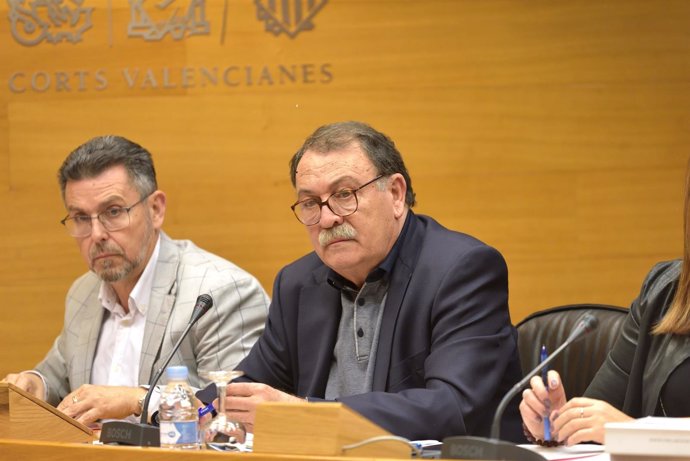 Narcís Vázquez en la Comisión de Sanidad de las Corts