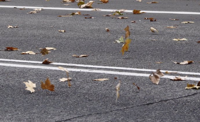 Recursos de viento, temporal, hojas, otoño